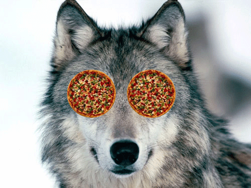 This husky dog has pizzas for eyes